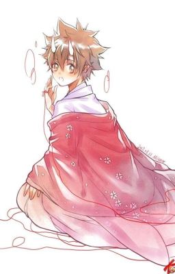 [Tổng] Tsunayoshi là cái âm dương sư