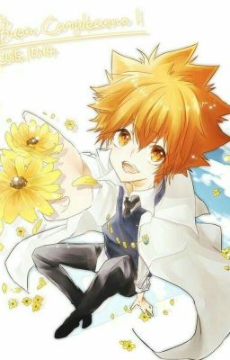 [Tổng] Tsunayoshi mau xuyên kế hoạch