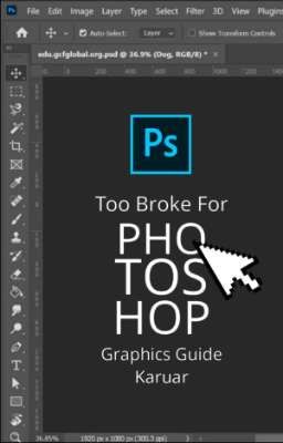 TOO BROKE FOR PHOTOSHOP; graphics guide