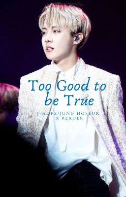 Too Good to be True (JHxOC) (J-Hope X Original Character)