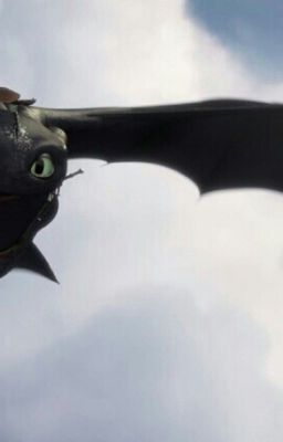 Toothless X Nightfury Reader