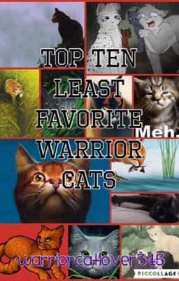 Top Ten LEAST Favorite Warrior Cats