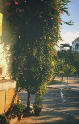 topnyong ; give my peace back to me.