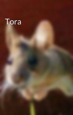 Tora