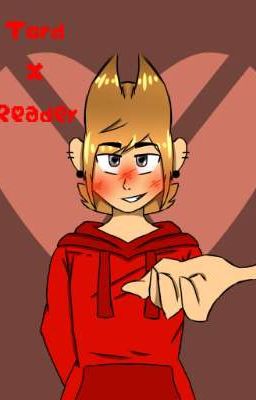 tord x depressed reader (my little fighter) 