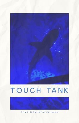 touch tank | j. taylor