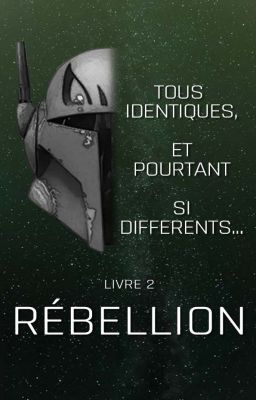 Tous identiques et pourtant si différents - Livre 2 : Rébellion