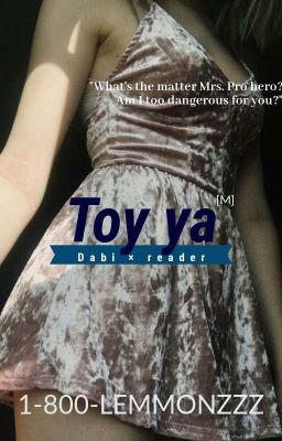 Toy ya (Dabi×reader) (M)