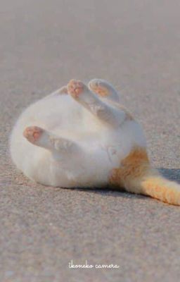 tqyn | khu vui chơi