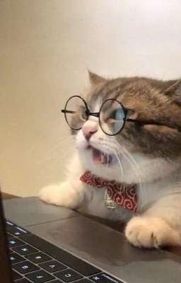 [TR/SouthTai] Sex. R18