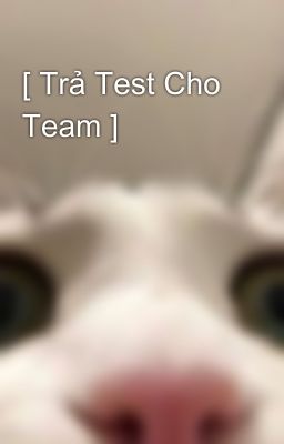 [ Trả Test Cho Team ]