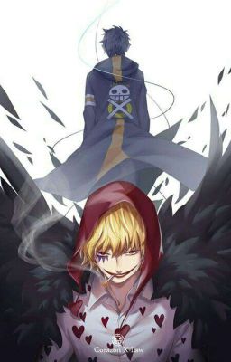 *Trafalgar D. Water Law llega a Magnolia* [Pausada]