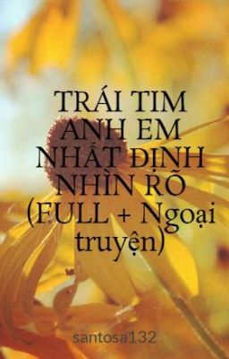 TRÁI TIM ANH EM NHẤT ĐỊNH NHÌN RÕ (FULL + Ngoại truyện)