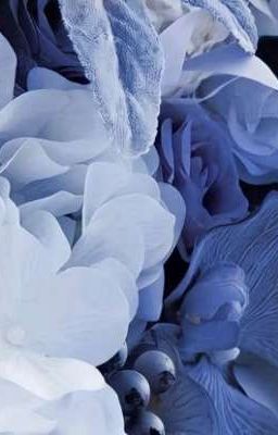 trăm năm vĩnh cữu.