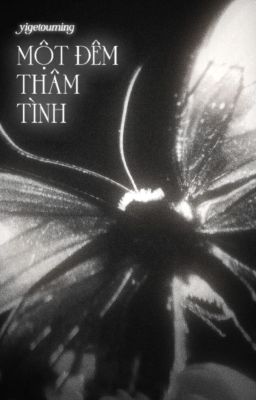 |trans| guon.zeon • một đêm thâm tình