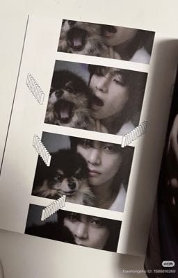 [trans] kookv | định luật hạnh phúc