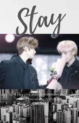 [Trans] Stay | Jaeyong