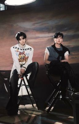 trans • sự cố hoàn trả điên rồ • ddingdongz