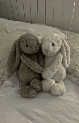 |trans| - teddy bear;