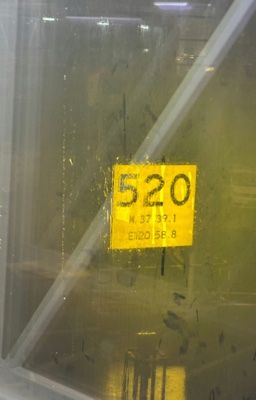 Trans ☆ Yunyi | Từ Ngày Đầu Tiên Yêu