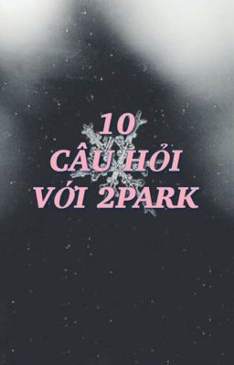 [TRANSFIC] 10 CÂU HỎI VỚI 2PARK