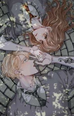 [Transfic | Dramione] Chữa Lành Con Tim