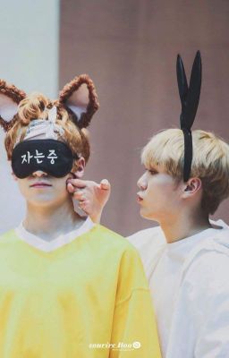 [Transfic] [Verkwan] Nở rộ