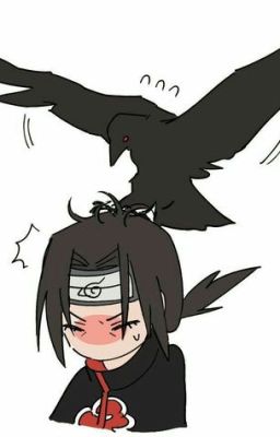 [Transfic_ Xin giúp đỡ ] Toàn bộ nhà Uchiha đều là Omega hết sao?!