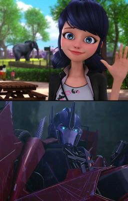 Transformers Miraculous 2