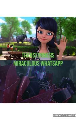 Transformers Miraculous WhatsApp 