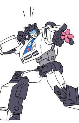 Transformers One-Shots