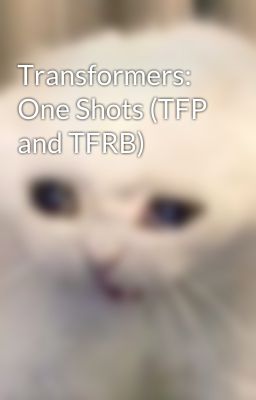 Transformers: One Shots (TFP and TFRB)