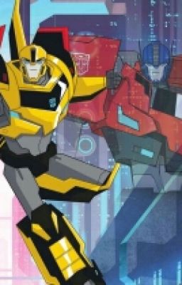 Transformers  RID