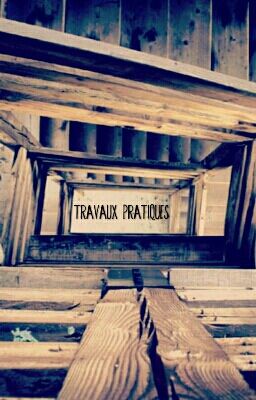 Travaux pratiques