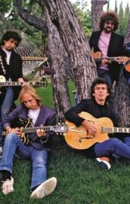 Traveling Wilburys Preferences