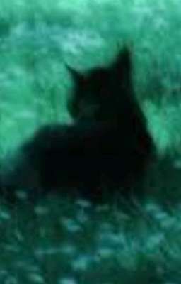 Trên chuyến đi ấy.