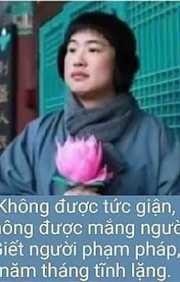 Trích dẫn hay trong các truyện đã đọc - Dùng làm caption