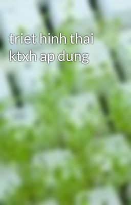 triet hinh thai ktxh ap dung