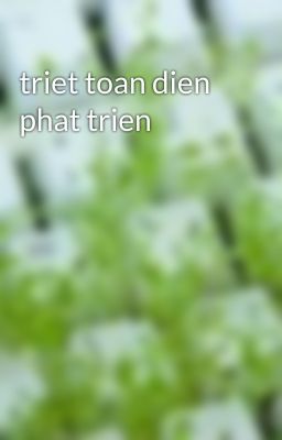 triet toan dien phat trien