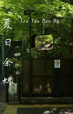 Tro Tàn Mùa Hạ 