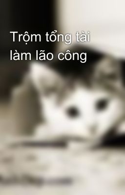 Trộm tổng tài làm lão công