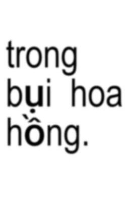 trong bụi hoa hồng. 