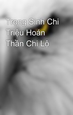 Trọng Sinh Chi Triệu Hoán Thần Chi Lộ