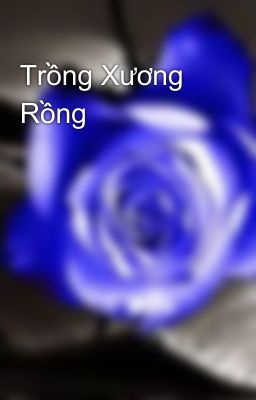 Trồng Xương Rồng