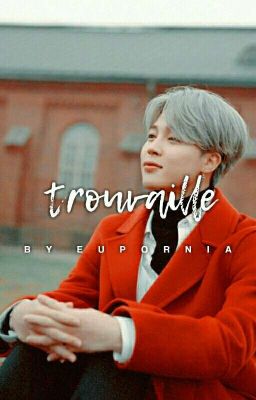 TROUVAILLE | SEULMIN