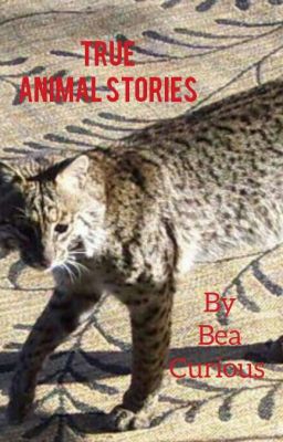 True Animal Stories