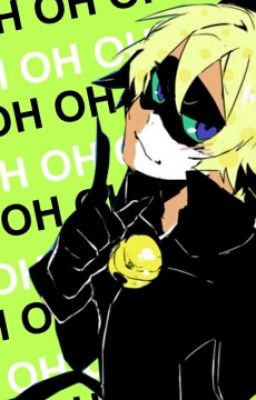 True Love (Chat Noir X Reader)