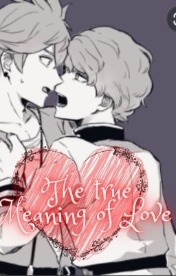 True meaning of Love (Black clover Finral x Langris)