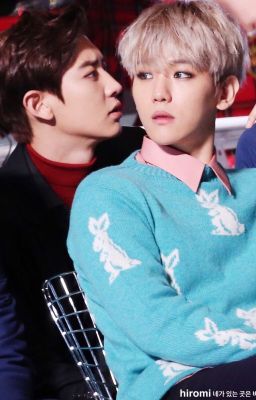 [Trung Trường] [ChanBaek] [HOÀN] : THẾ GIỚI CỦA EM MANG TÊN ANH |ngược|HE| 