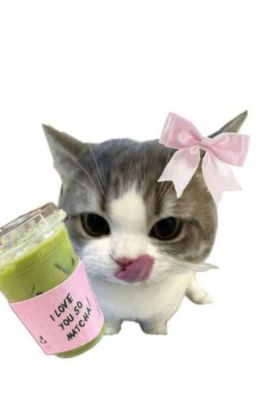 Truyện cười cho người sì trét